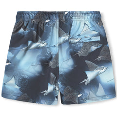 Niko Swim Shorts
