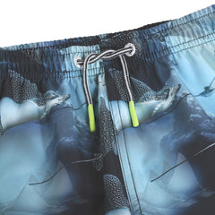 Niko Swim Shorts