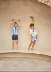 Niko Swim Shorts