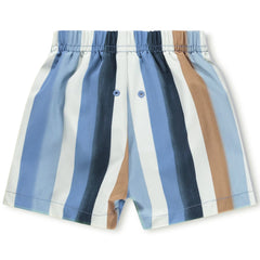 Newton Swim Shorts