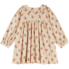 Loose Flounce Collar Dress