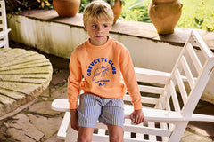 Striped Bermuda Shorts