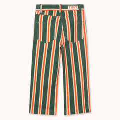 Multicolor Stripes Straight Corduroy Pants - Dark Green