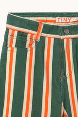 Multicolor Stripes Straight Corduroy Pants - Dark Green
