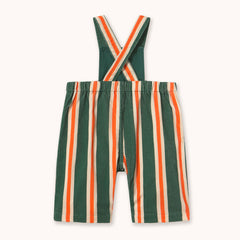 Multicolor Stripes Corduroy Dungaree - Dark Green