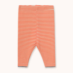 A pair of ribbed knit baby leggings by Tiny Cottons with horizontal orange and white stripes, laid flat against a light cream background.