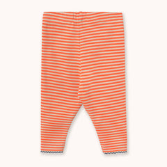 Stripes Rib Baby Pant - Summer Red