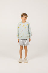 Ducks Sweatshirt