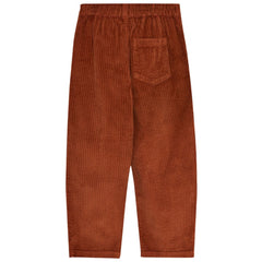 Nicol Pant Astral Earth