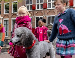 Kouronne Poodle Sweater