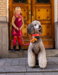 Doodles Poodle Overall Dress