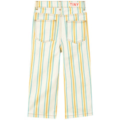 Multicolor Stripes Denim Jeans