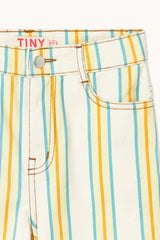 Multicolor Stripes Denim Jeans