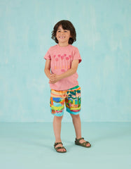 Plank Shorts