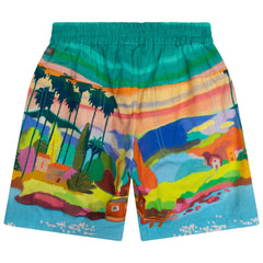 Plank Shorts