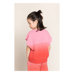 Carry Short Sleeve Sweater