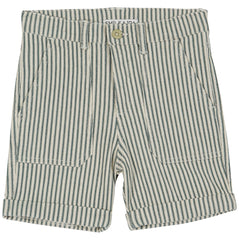 Bermuda Raye Rayure Verte Shorts