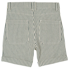 Bermuda Raye Rayure Verte Shorts